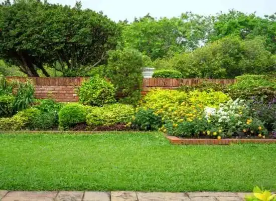 landscaping services Louisburg